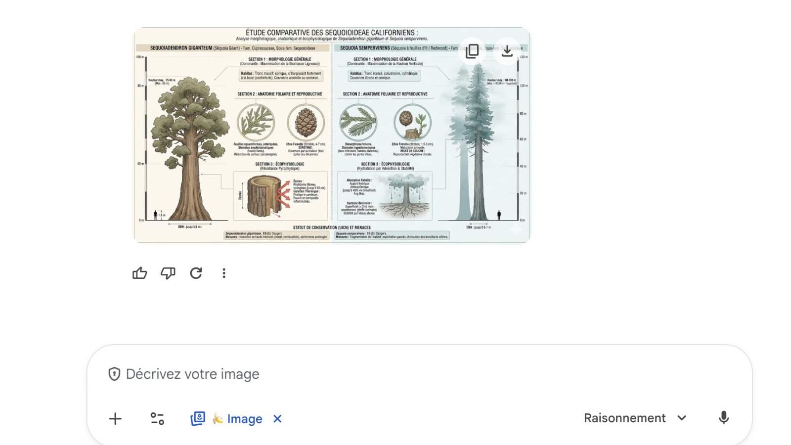 On a testÃ© Nano Banana Pro avec Gemini 3, câ€™est bluffant