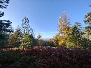 IMG_20251109_093800420_HDR