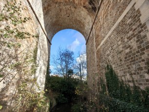 IMG_20251124_141939