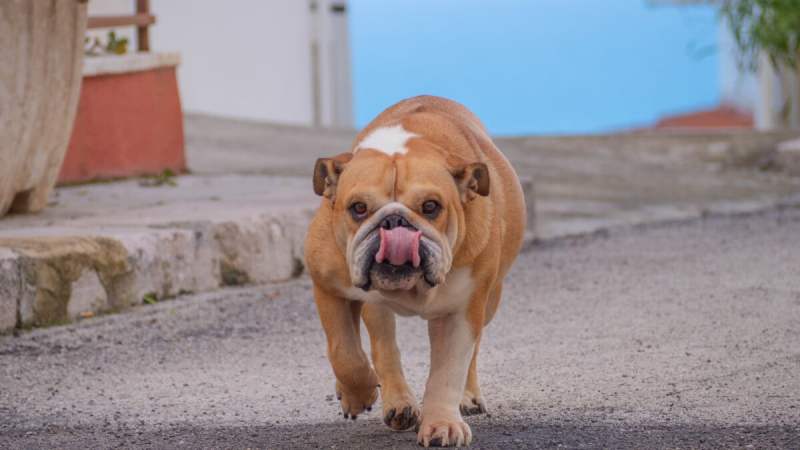 Vitesse d&rsquo;obturation en photo&nbsp;: tout comprendre pour maîtriser le mouvement