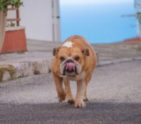 Figer l'instant avec la vitesse d'obturation