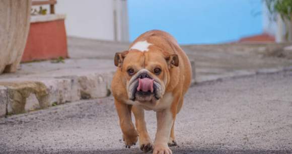 Figer l'instant avec la vitesse d'obturation