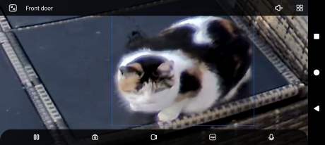 Reolink Duo 3 WiFi Capture alertes (30)