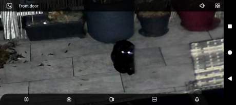 Reolink Duo 3 WiFi Capture alertes (8)