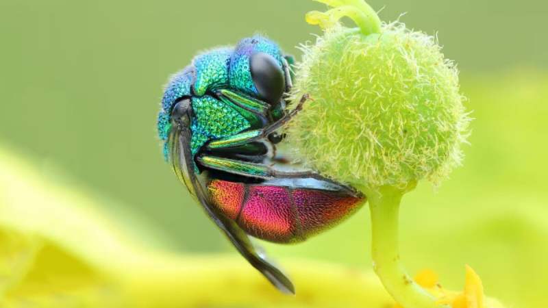 Mode rafale&nbsp;: buffer, cartes et rolling shutter, tout comprendre pour ne plus jamais rater une photo d&rsquo;action