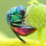 Mode rafale : buffer, cartes et rolling shutter, tout comprendre pour ne plus jamais rater une photo d&rsquo;action