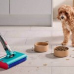 Il aspire, démêle, lave, ce Dyson V12s Detect Submarine perd plus de 200 € pour nettoyer vos intérieurs