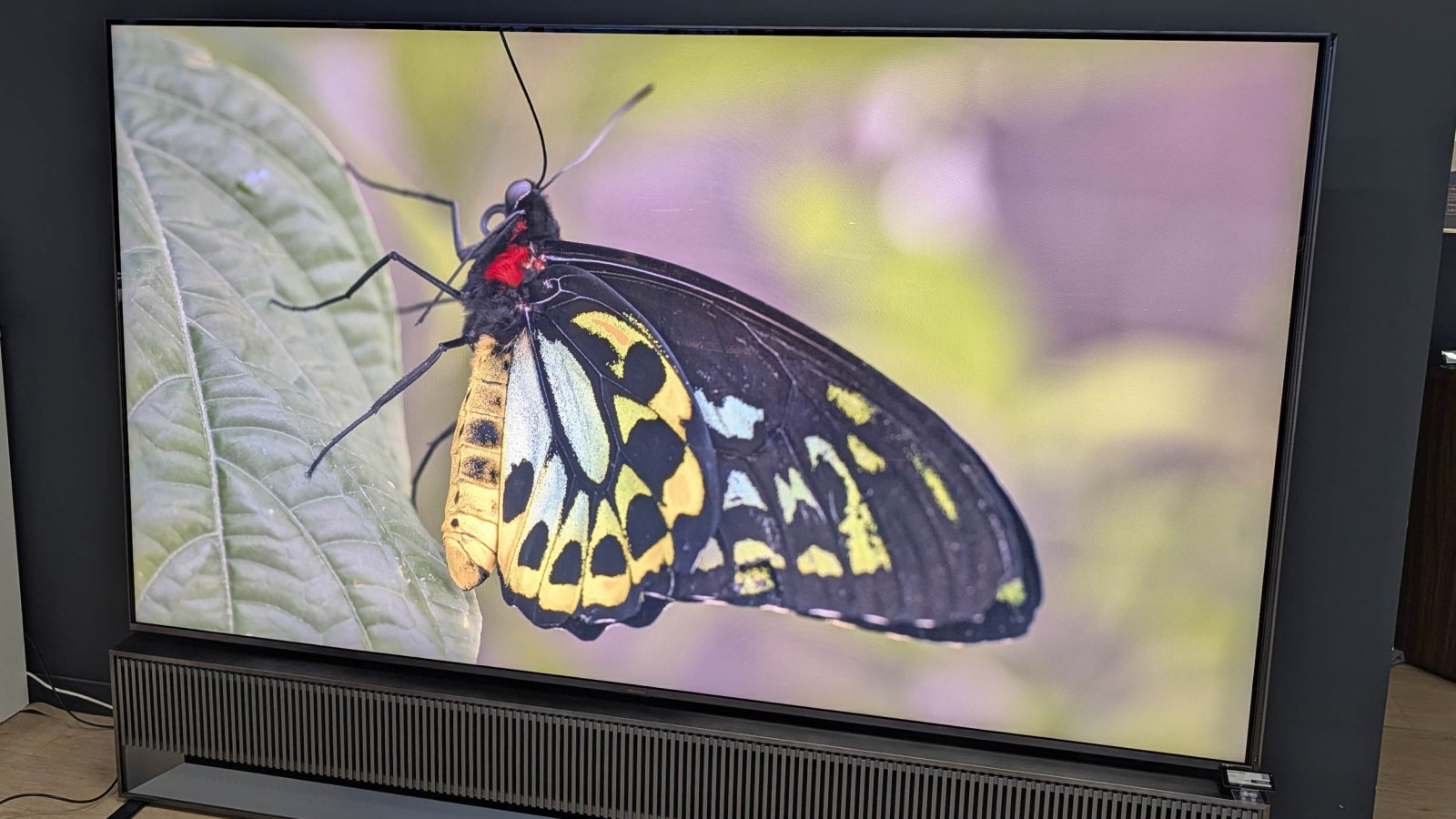 Hisense 116UX : le TV le plus démesuré du marché devient (un peu) plus accessible avec -4 000 €