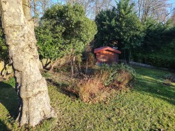 Honor Magic 8 Lite - 24 mm 10