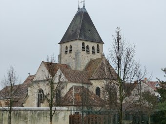 Honor Magic 8 Lite - 3x 5