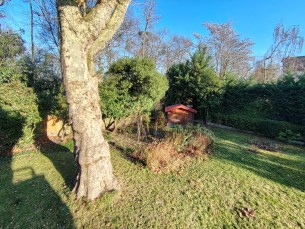 Honor Magic 8 Lite - UGA 2