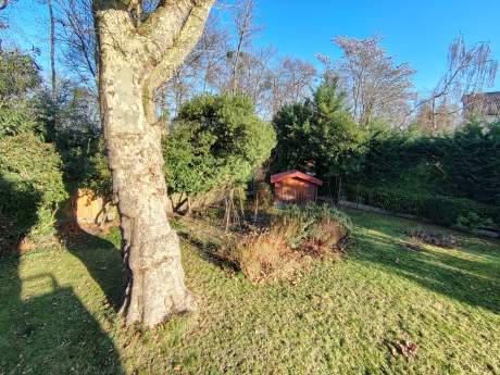 Honor Magic 8 Lite - UGA 2