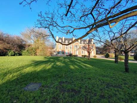 Honor Magic 8 Lite - UGA 20