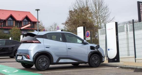 BYD Dolphin Surf // Source : BYD