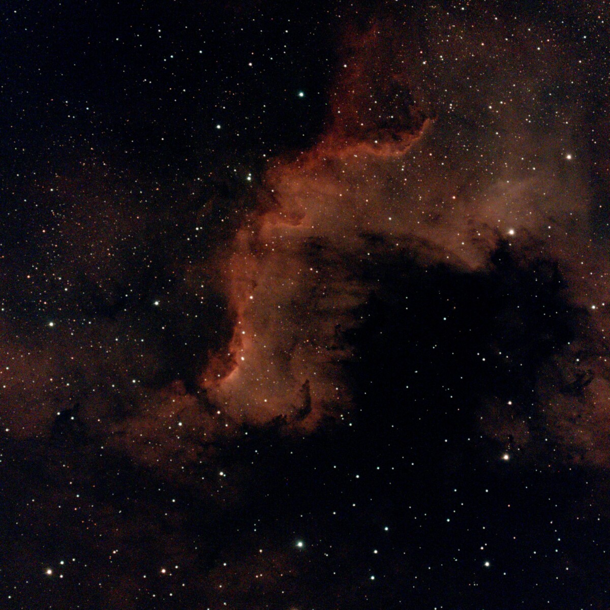 Nébuleuse de l'Amérique du Nord avec filtre