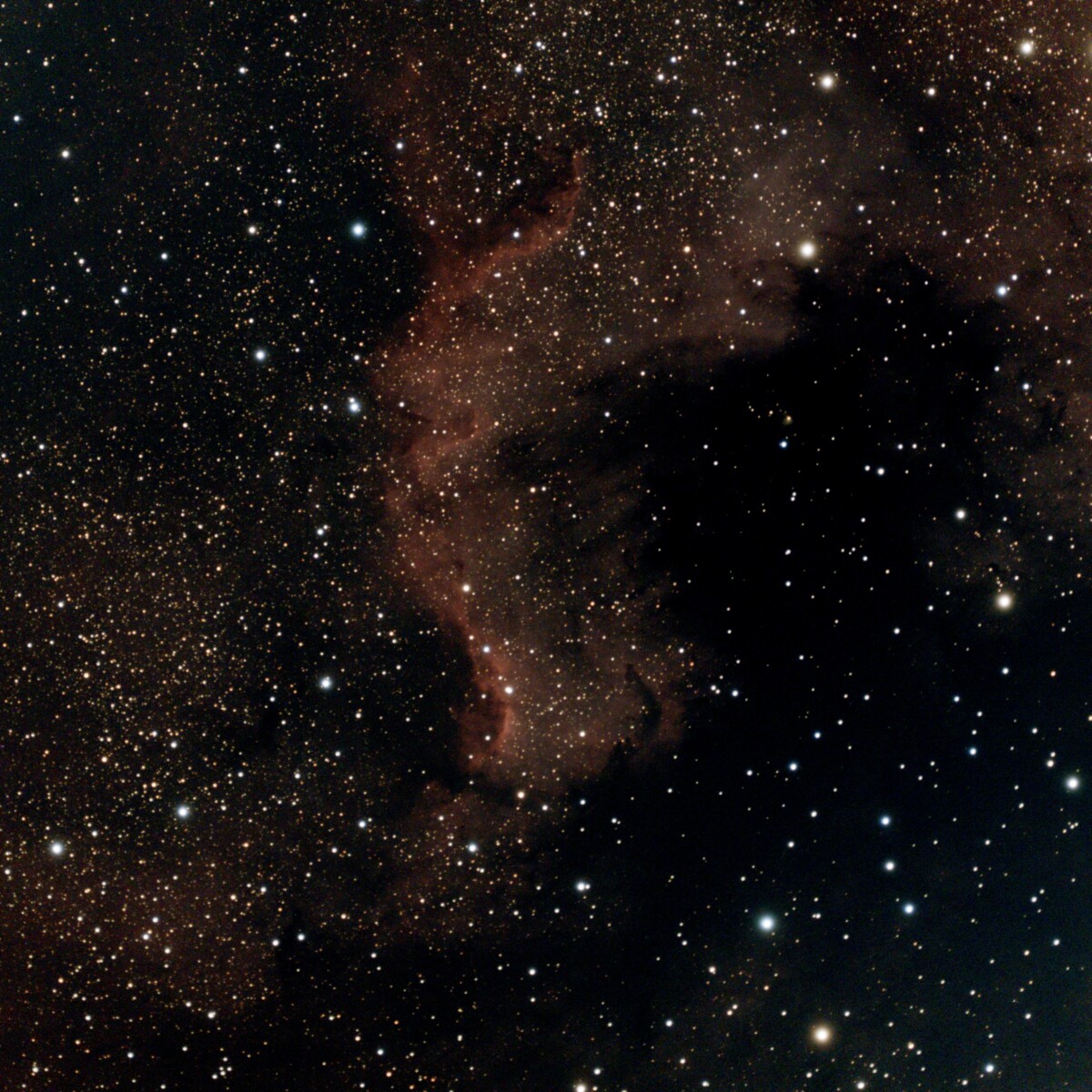 Nébuleuse de l'Amérique du Nord sans filtre