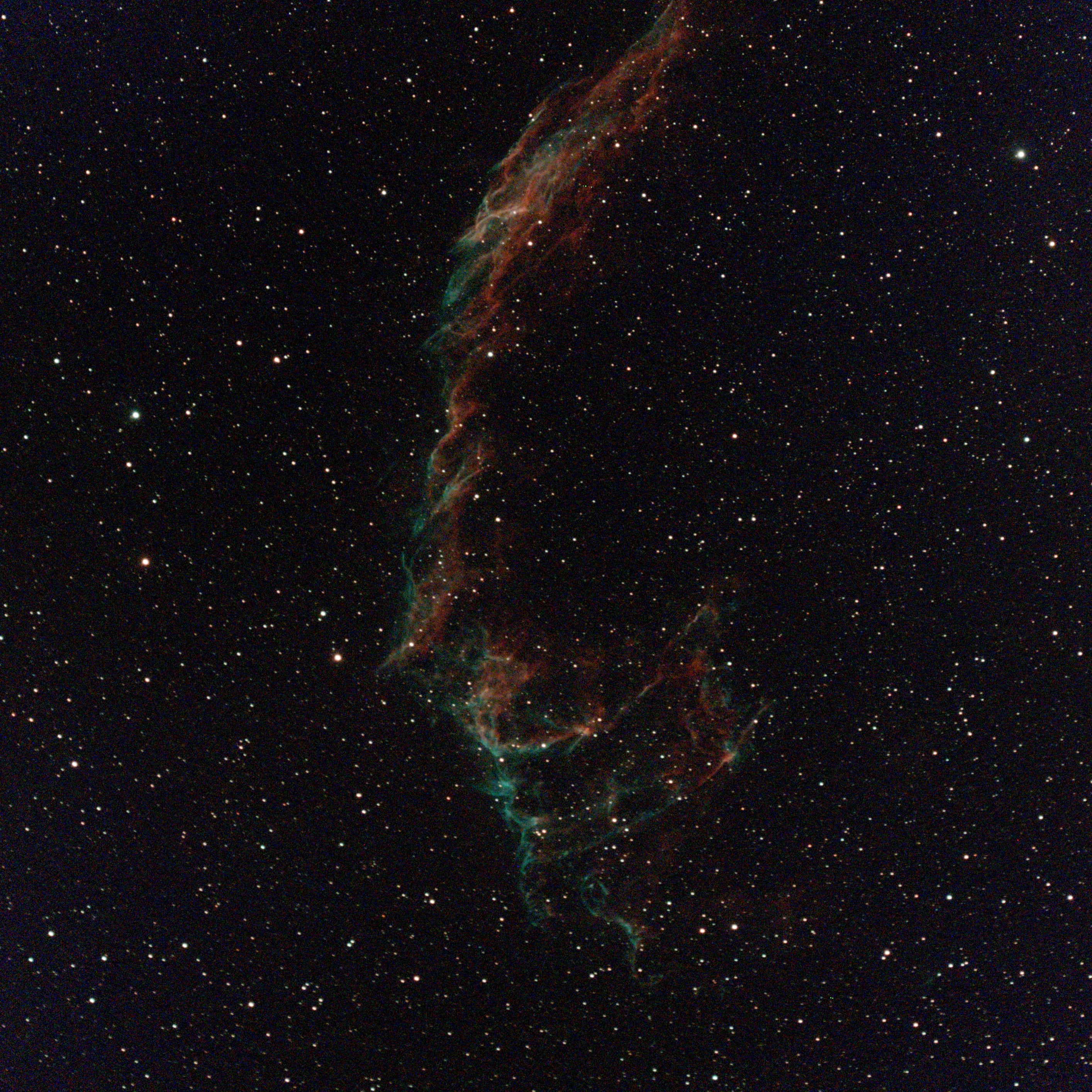NGC6992 : Nébuleuse du Voile