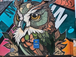 Poco F8 Pro Grand-angle de jour (4)