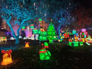 Poco F8 Pro Grand-angle de nuit (5)