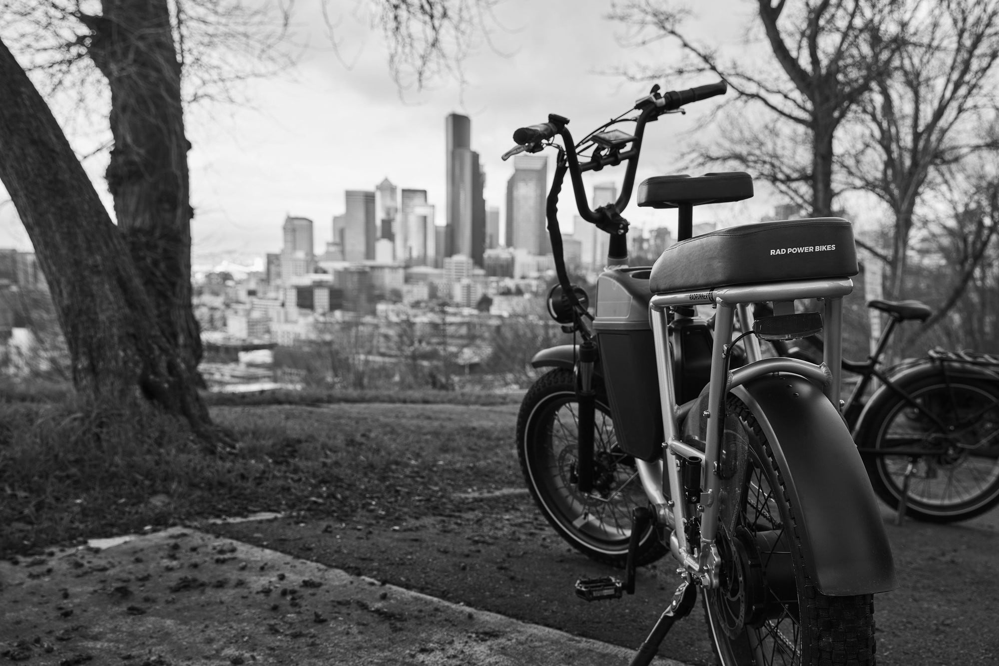 Rad Power Bikes v&eacute;lo &eacute;lectrique