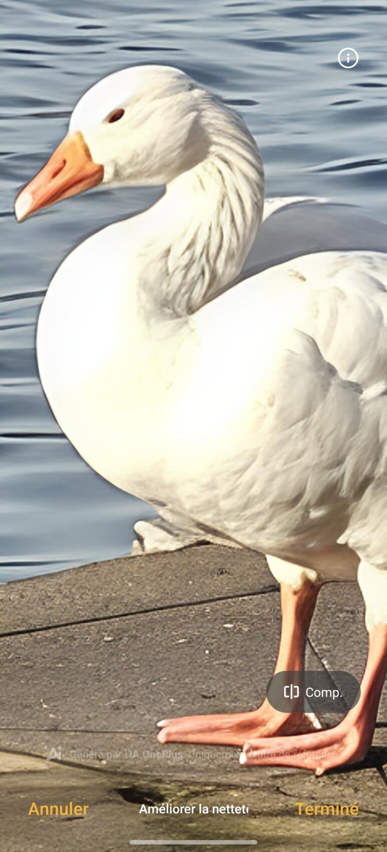 Après Améliorer la netteté