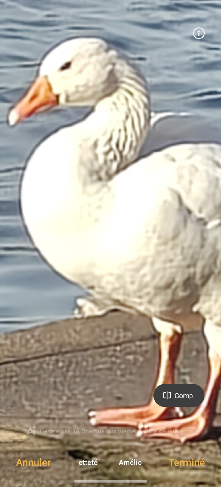 Avant Améliorer la netteté