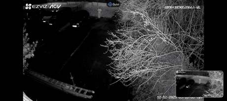 Screenshot_20251212-031610