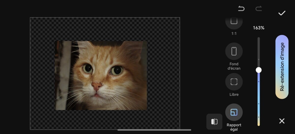 Screenshot_20251219_211412_com_hihonor_photos_HwCameraRotatePhotoActivity