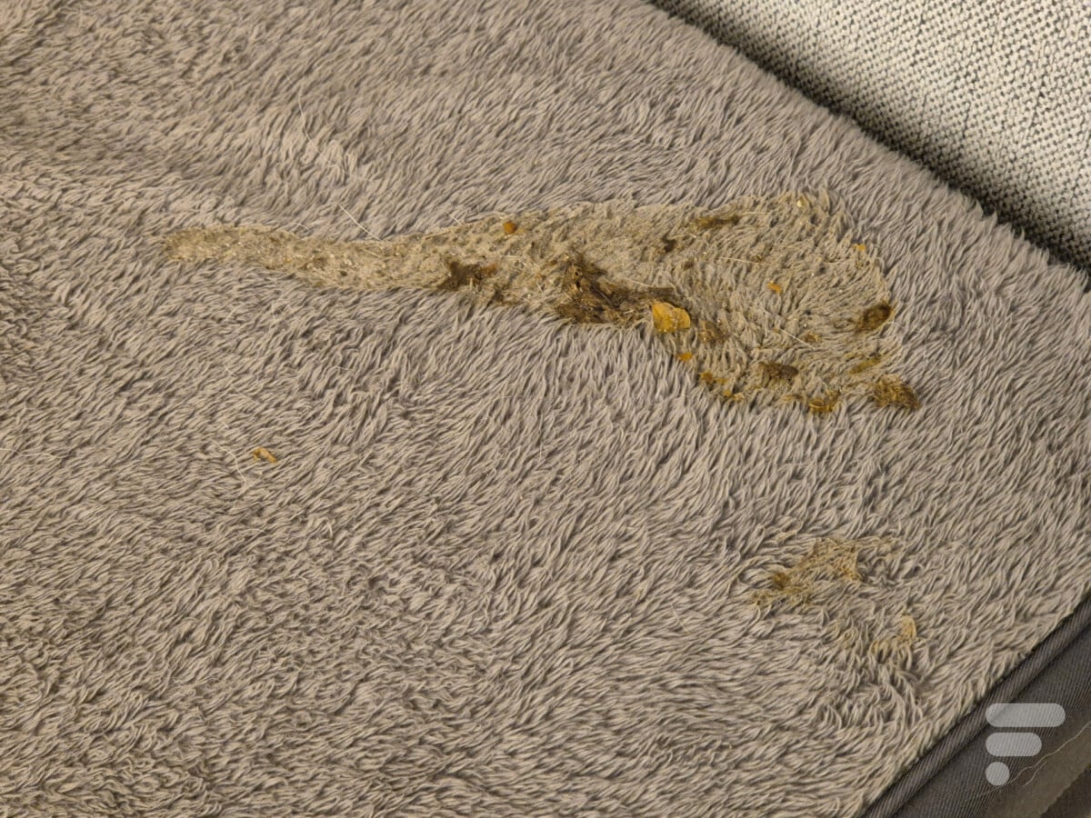 Shark StainForce 12 Shark StainForce 12