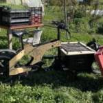 Voici le Wheel’n Wood 2074 Cargo : boîte auto et couple monstrueux de 130 Nm pour ce vélo français en bois