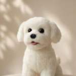 Cette marque d&rsquo;aspirateurs lance un robot peluche pour vous tenir compagnie