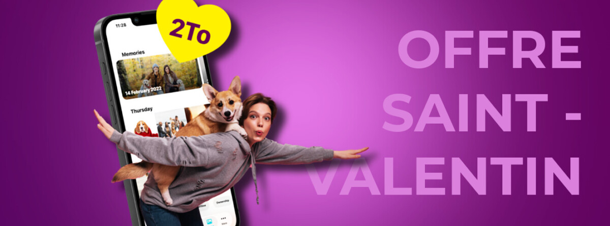 Box Partenaire pCloud