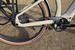 Diamant Suvea courroie