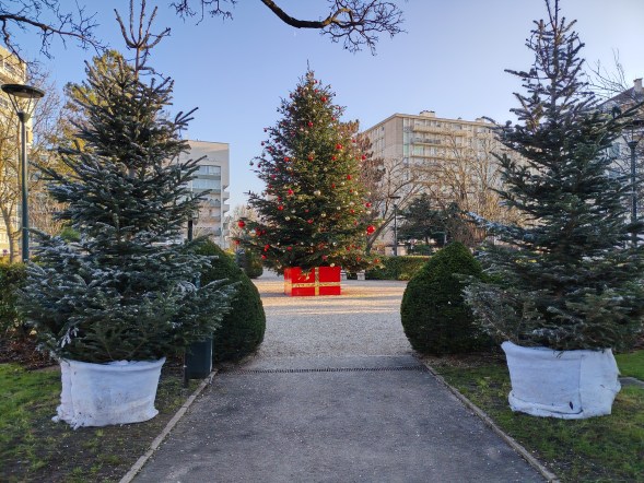 Honor Magic 8 Lite - 24 mm 1