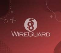 WireGuard
