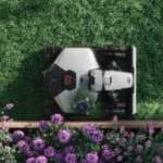 Mammotion renouvelle sa gamme et s&rsquo;occupe enfin de couper les bordures à votre place