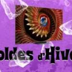 TCL 55C89K soldes d&rsquo;hiver 2026