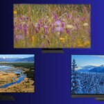 Découvrez les 3 meilleurs TV de 2025 sur Frandroid