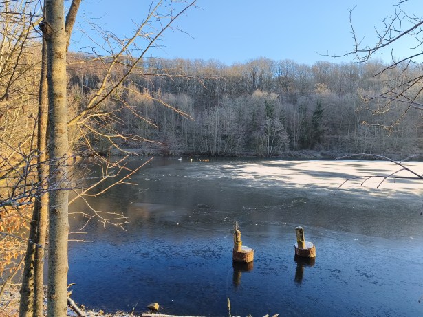 Xiaomi Redmi Note 15 Pro - GA 1