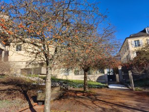 Xiaomi Redmi Note 15 Pro - GA 2