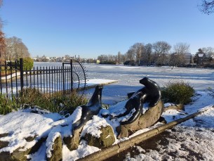 Xiaomi Redmi Note 15 Pro - GA 5