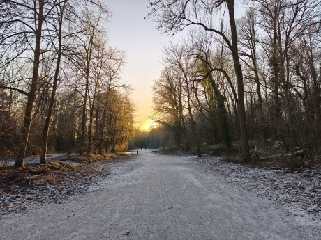 Xiaomi Redmi Note 15 Pro - GA 9