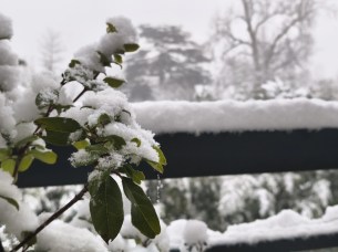 Xiaomi Redmi Note 15 Pro - Zoom 2x 3