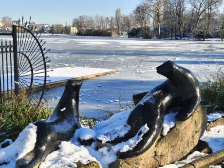 Xiaomi Redmi Note 15 Pro - Zoom 2x 4