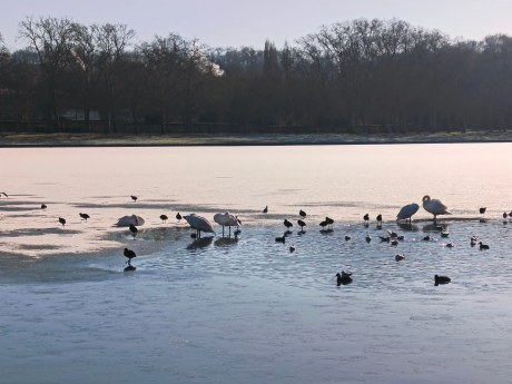 Xiaomi Redmi Note 15 Pro - Zoom 4x 6