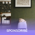 Grand ménage de printemps chez Roborock : jusqu’à -650 euros sur ses meilleurs aspirateurs-robots