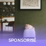 Grand ménage de printemps chez Roborock : jusqu’à -650 euros sur ses meilleurs aspirateurs-robots