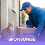 Comment Cdiscount envoie 14 millions de colis par an : les secrets de C-Logistics