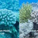 Le Galaxy S26 Ultra a un mode Océan pour photographier et filmer les profondeurs comme un Pro