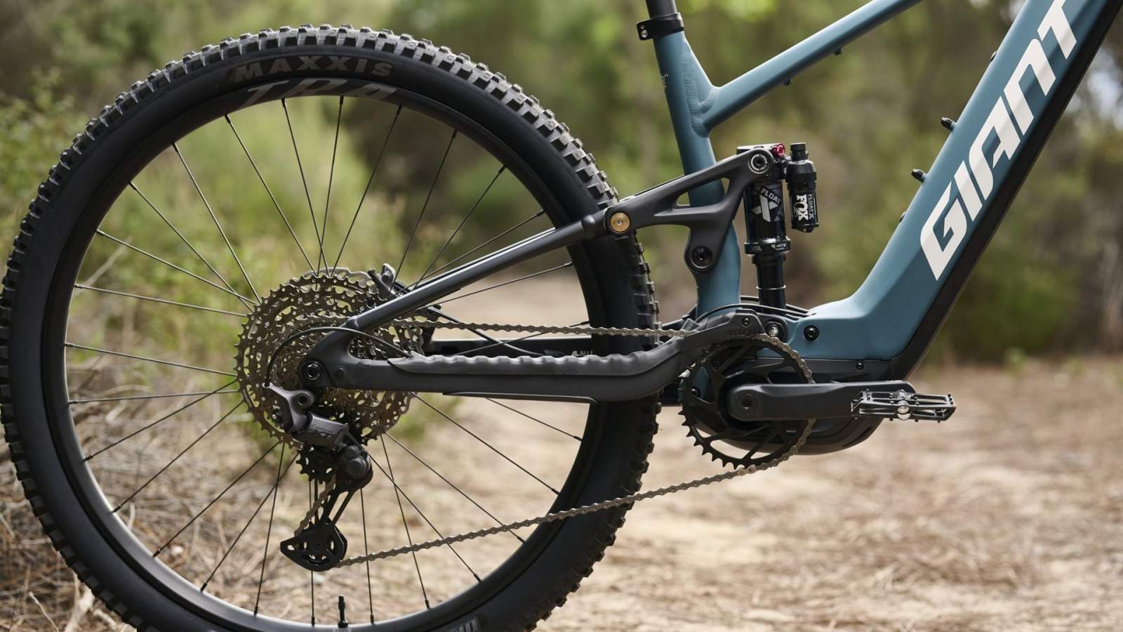Bénéfices en hausse de 234 % : comment le géant du vélo Giant signe un retour spectaculaire